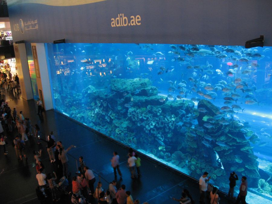 Aquarium mit der größten Plexiglasscheibe weltweit